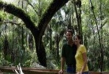 Wild Coach Adventure